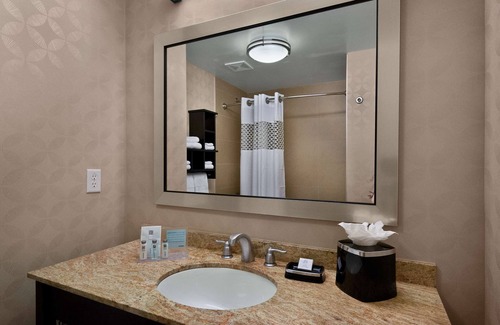 Oldsmar Hotel | Hampton Inn & Suites Tampa Northwest/Oldsmar