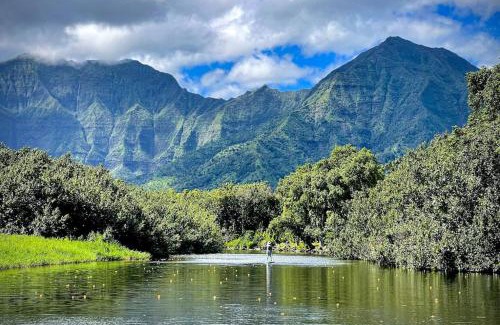 Hanalei House | Hanalei Waterfalls House TVNC #5120