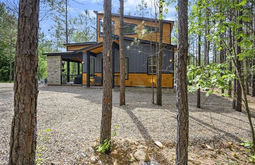 Golden Cabin | Hang Loose- Sleeps 8, 2 King Suites + Bunkroom