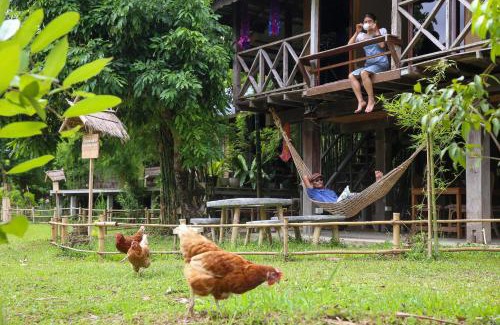 Tha Sala House | Hang Tueng farm stay Chiang Mai แฮงตึง ฟาร์มสเตย์ เชียงใหม่