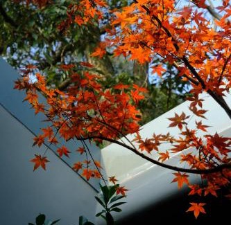 Xihu Cabin | Hangzhou Lingyin Keye Homestay