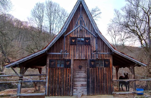 Danes House | Hanul din Pădure