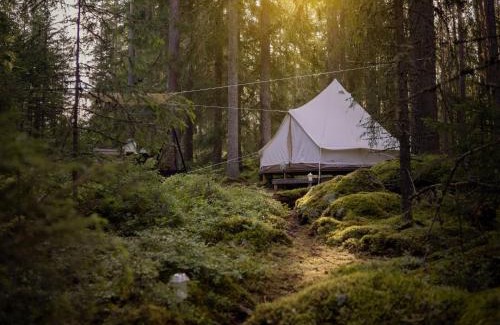 Hagfors Municipality Other | Happie Camp - Hagfors