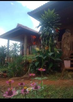 Ban Lung House | Happy bungalow & trekking