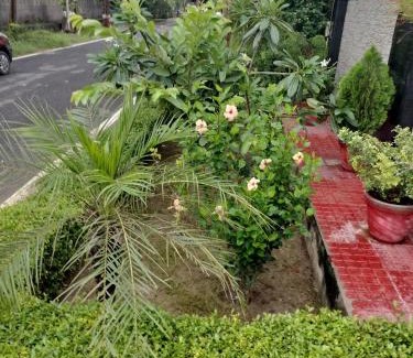 Greater Noida Villa | Happy Feet Homestay 15 mins distance from Expo Mart