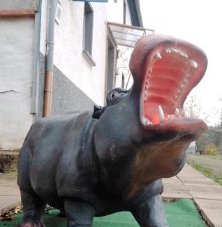 Muerlenbach Apartment | Happy Hippo Haus