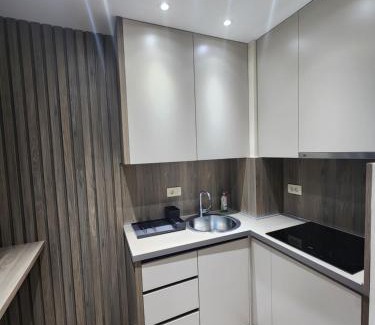 Podgorica Apartment | Harmony Apartments