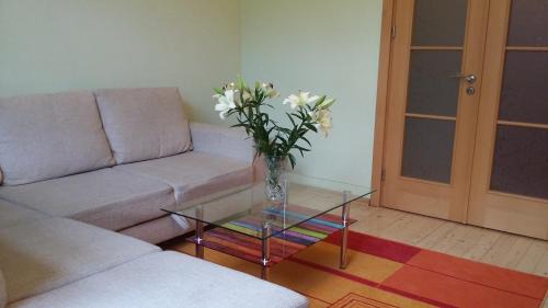Sarkandaugava Apartment | Harmony Life Two-room apartment in Riga