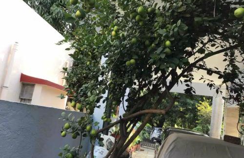 Jamui Hotel | Harshita Hotel