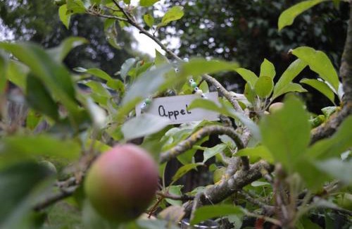 Wehl Bed & Breakfast | HartenGroen