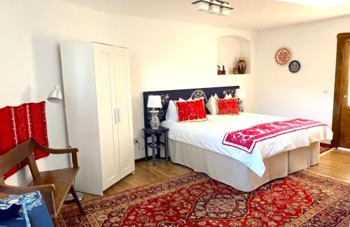 Lunca Muresului House | Harvest House Transylvania