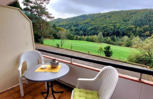 Laddeken Apartment | Harz with dog in the mountain town of Lautenthal with breathtaking views