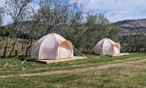 Hornafjörður Other | Haukafell Camping - Tents for Rents