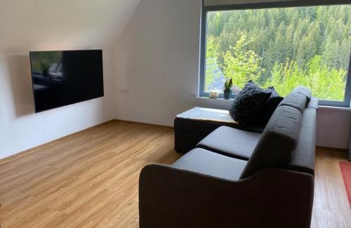Erzgrube House | Haus Adler - Komplettes Ferienhaus am Badesee