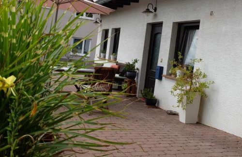 Bad Konig House | Haus Alpaka
