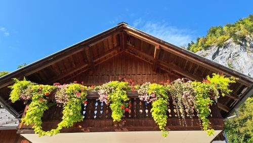 Goessl Apartment | Haus Annerl