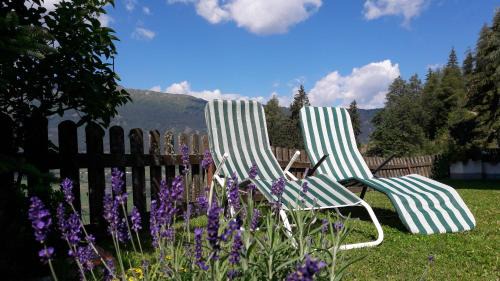 Jerzens Bed & Breakfast | Haus Edelweiß