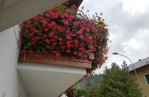 Innsbruck House | Haus Georg