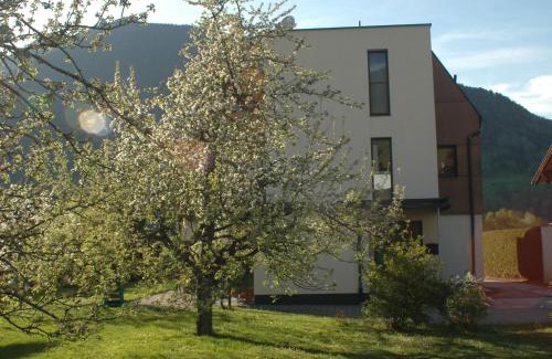 Mieders Apartment | Haus Hofer