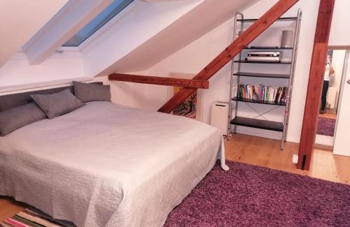Schrems Apartment | Haus Larissa