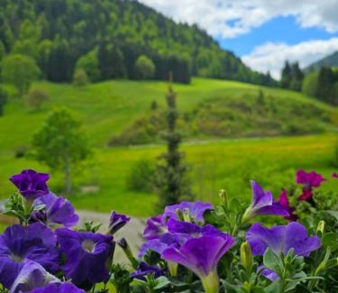 Unterjoch House | Haus Luise