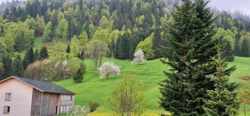 Unterjoch House | Haus Luise