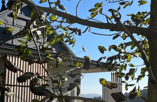 Oberhaag House | Haus Nebel