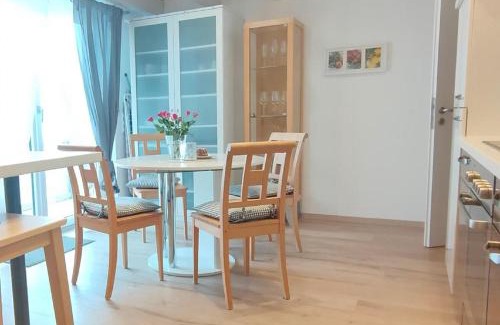 Sankt Englmar Apartment | Haus Paradies Superior FEWO`S Loft, Terrasse, private Sauna, aktiv Card, Sankt Englmar