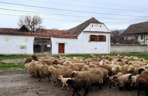 Bunesti House | Haus Rether - Transylvanian Guesthouse