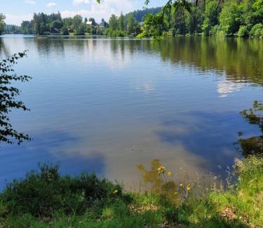 Litschau Apartment | Haus Waldviertel am Herrensee
