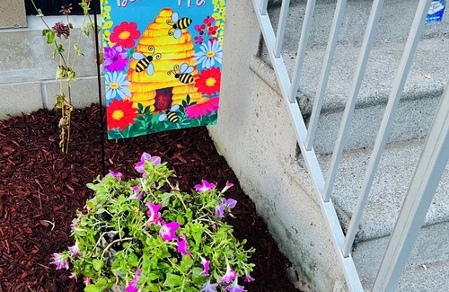 Willis Wharf House | Have fun with the whole family!