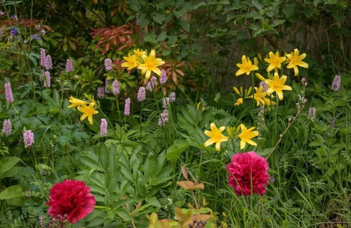 Aboyne House | Haven Retreat Scotland - Beautiful large house, idyllic woodland garden.