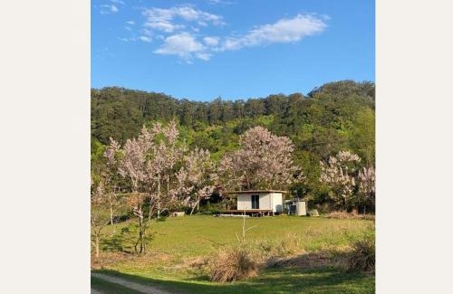 Burringbar House | Haven's Hideaway - Tiny Home