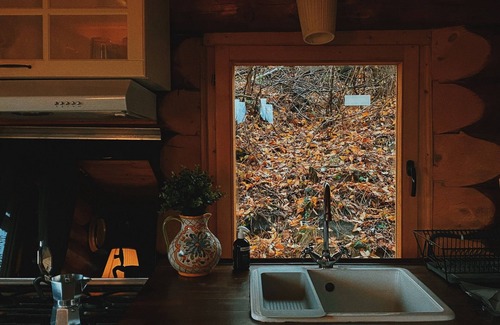 Pesteana Cabin | Havens Treehouse Transylvania