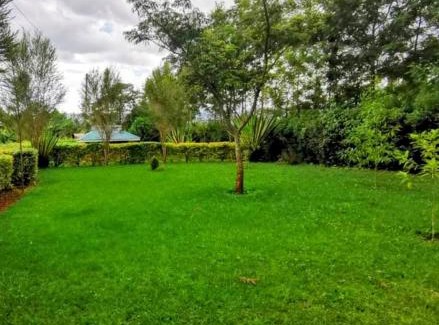 Trans-Nzoia Apartment | Havlin's Haven