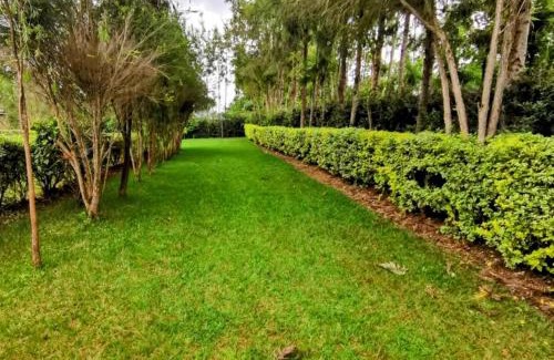 Trans-Nzoia Apartment | Havlin's Haven