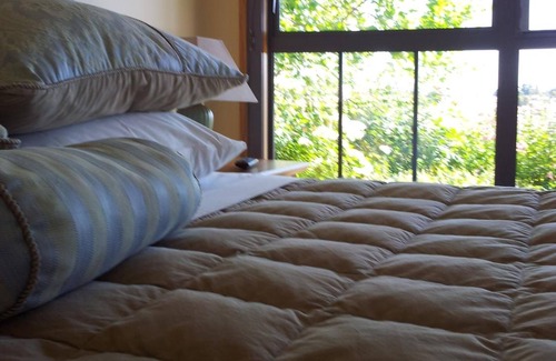 Alexandra House | Hawkdun Rise Vineyard & Accommodation
