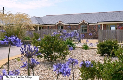 Grampound Cottage | Hazel Cottage Purpose built wheelchair friendly cottage