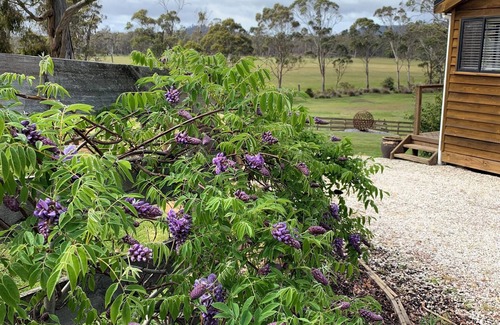 Exeter Cottage | Hazelcreek Cottages