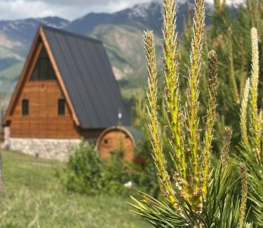 Kazbegi Apartment | Heart of Mountains Escape
