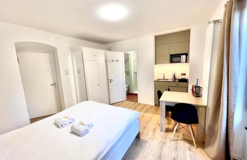 Hochschulen Apartment | Heart of Zurich Modern Studio HG20