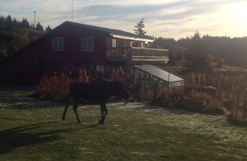 Diamond Ridge House | Heavenlyridge - Homer, Alaska