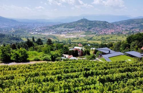 Sarajevo Apartment | Hedona Vineyard Apartments
