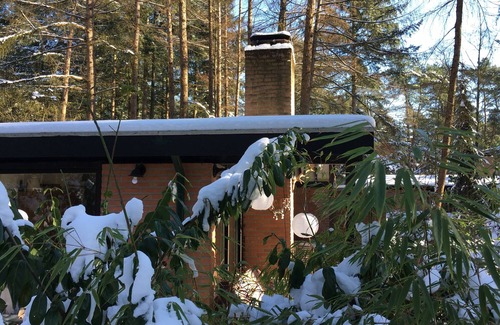 Giethmen House | Heerlijk Natuurhuisje Midden in het bos
