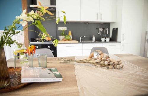 t Zand Apartment | Heerlijk Vakantiehuisje 5 Minuten van het Strand. Schelp 5p Zeezand Recreatie