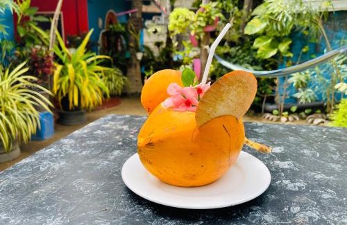 Trincomalee Hotel | Hema Holiday Villa