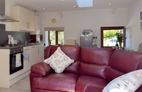 Llanybydder Cottage | Hen Llaeth - UK11209