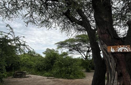Kachikau Other | Hennies Hideout