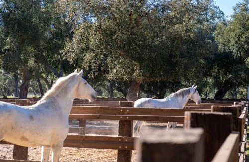 Courelinhas House | Herdade das Onzenas de Cima