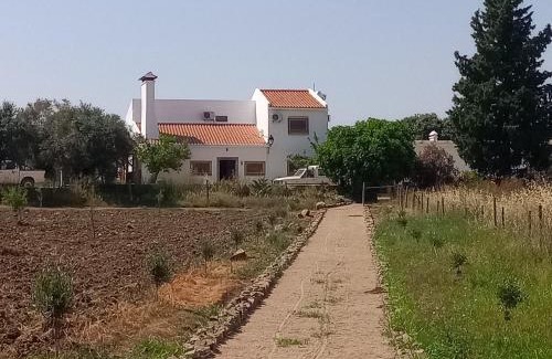 Arronches Villa | Herdade Joana Dias by PortusAlacer
